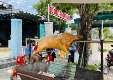 Quán Bê Thui Hoàng Anh – Ăn Ngon, Giá Tốt Tại Đồng Xoài