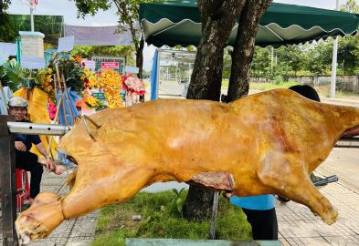 BÊ THUI ĐỒNG XOÀI BP